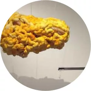 Sandra Monterroso - Artist