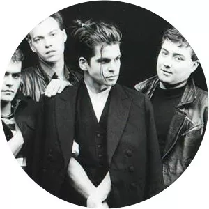 Sandro Dotta Musician