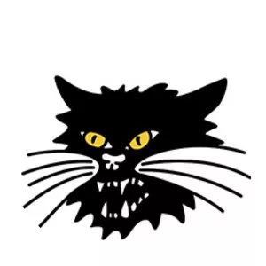 sandro jeeawock dora black
