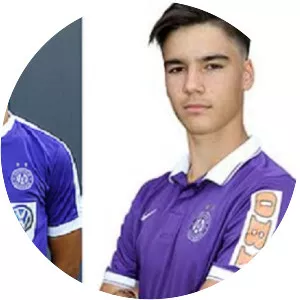 Sandro Lukic-Grancic