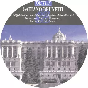 Sandro Materassi Musician