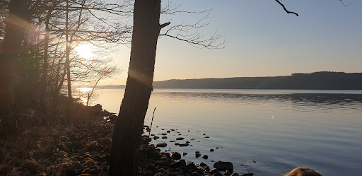 Sandryd - Bus stop in Sweden