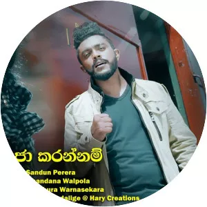 Sandun Perera - Musical artist