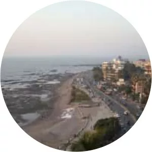 Sangeet Samrat Naushad Ali Marg - 