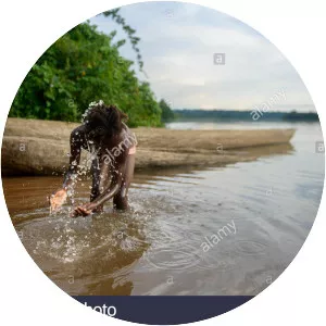 Sangha River - River in Congo