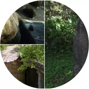 Sankebetsu brown bear incident - 