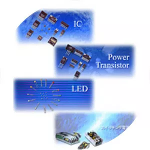 Sanken Electric Co. , Ltd. - Company