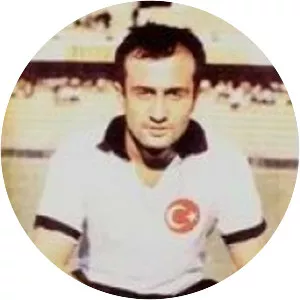 Sanlı Sarıalioğlu