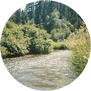 Sanpoil River - Tributary in Washington