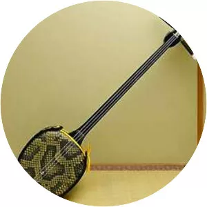 Sanshin - Musical instrument