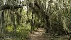 Santa Ana National Wildlife Refuge