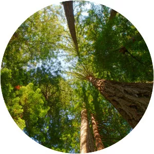 Santa Cruz Mountains