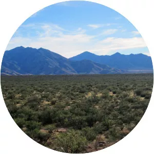 Santa Rita Mountains