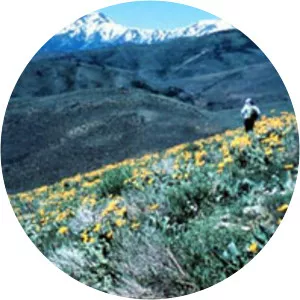 Santa Rosa–Paradise Peak Wilderness - 