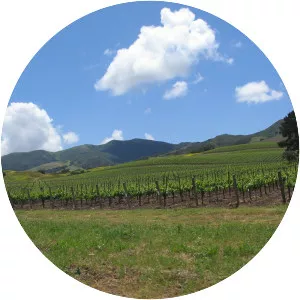 Santa Ynez Valley