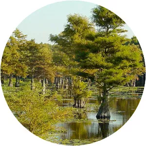 Santee National Wildlife Refuge - 