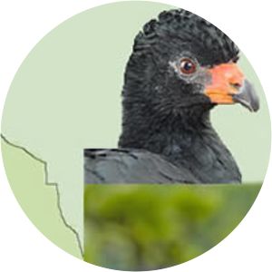 Santiago-Comaina Reserved Zone - 