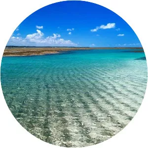 São Miguel dos Milagres