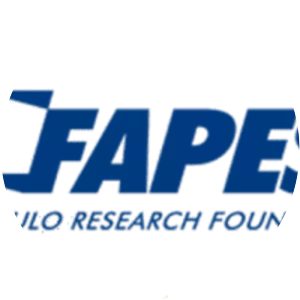 São Paulo Research Foundation - 