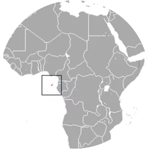 São Tomé collared fruit bat - Animal