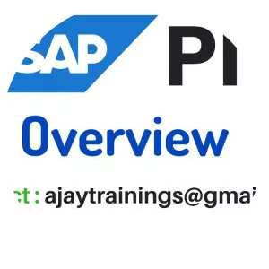 SAP NetWeaver Process Integration