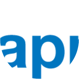 Sappi - Company