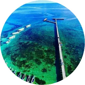 Sapudi - Endonezya'da bir ada