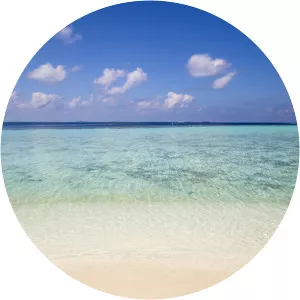 Sara A. Lourie - Author