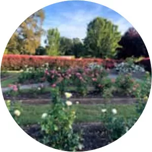 Sara Hite Rose Garden