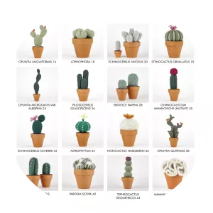 Sarah Abbondio - Author