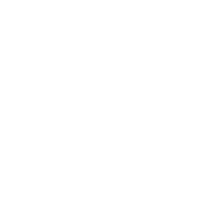 Saran Holding Sirketler Toplulugu (. . .