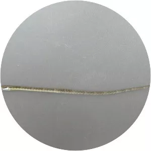 Sargassum pipefish - 