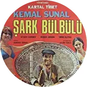 Şark Bulbulu