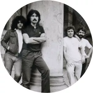 Saša Dadić Musician - Musician