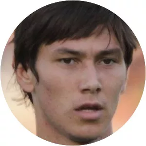 Saša Lukić - Serbian football player