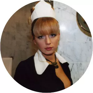 Sasha Project Musician