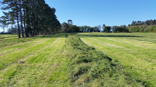 SAT Finca Arosa - Dairy farm in Spain