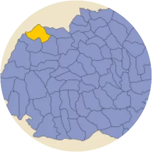 Satu Mare County
