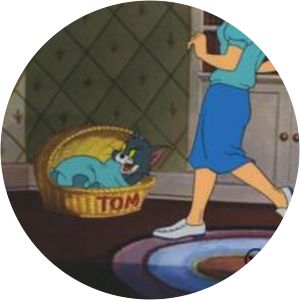 Saturday Evening Puss