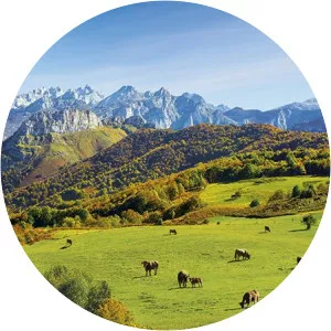 saucedas de buelles reserva natural parcial de peloño