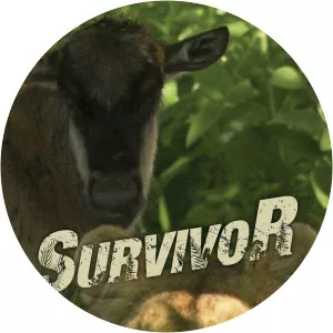 Saved by the LionessSince 2009