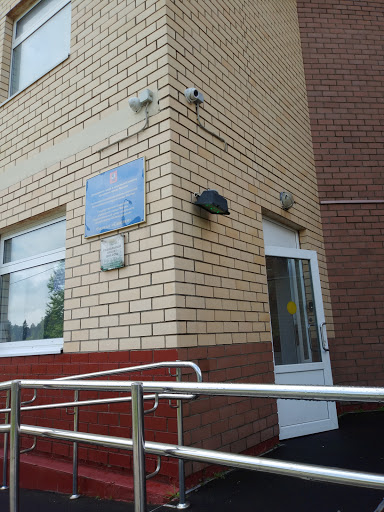 Savelki, Tsentr Sotsial'nogo Obsluzhivaniya - Social services organization in Russia