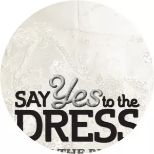 Say Yes to the Dress: Since the Big DaySince 2014