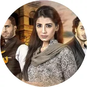 Saya-e-Dewar Bhi Nahi