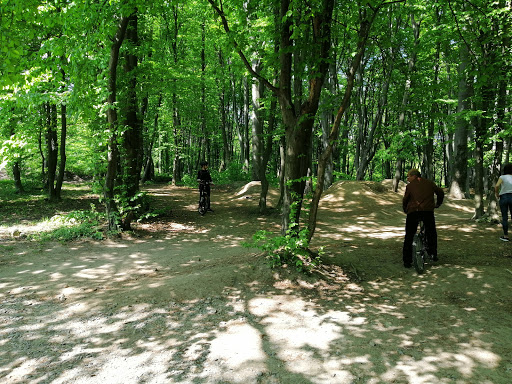 Sbp Sykhiv Bayk Park - Cycling park in Ukraine