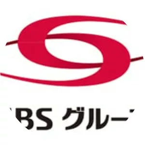 SBS Holdings