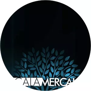 Scala MercalliSince 2015