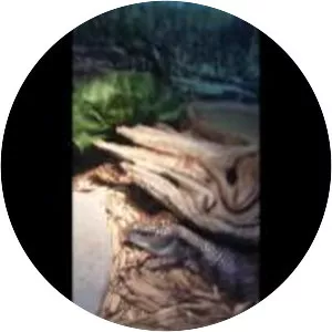 Scales Nature Park - 