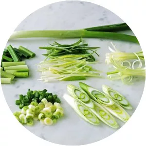 Scallion