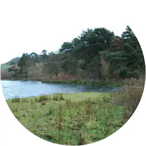 Scarborough Mere